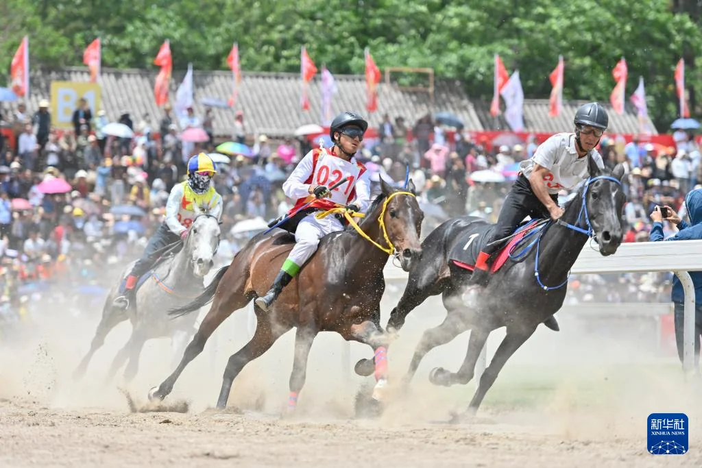 2024大理三月街赛马大会